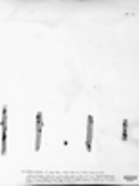 Exidia recisa image